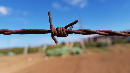 Close-up of rusty barbed wire on field