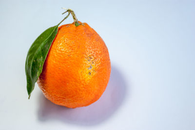 Close-up of orange fruit against white background