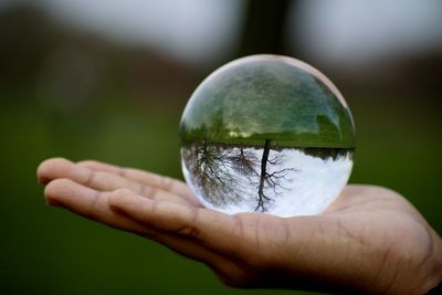 Close-up of hand holding crystal ball