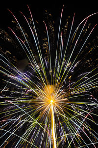 Low angle view of firework display at night