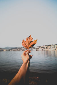 Cropped hand of man holding autumn maple leaf at lakeshore against sky