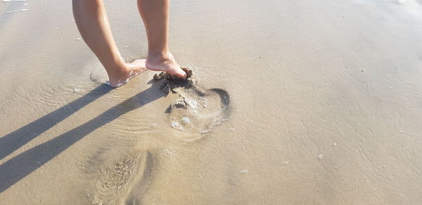 Low section of child on sand at beach