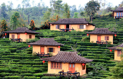 High angle view of houses in village