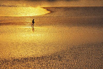Golden planet alien. a fisherman is going back to home under the golden sunset.