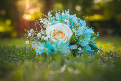 Close-up of rose bouquet on field