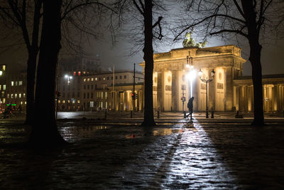 Low angle view of silhouette trees and brandenburg gate at night