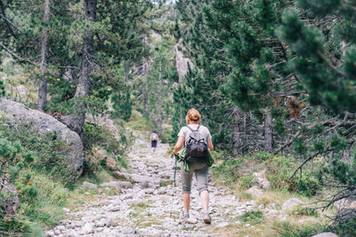 Full length rear view of man walking in forest