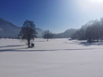 Trees on snow covered field against sky