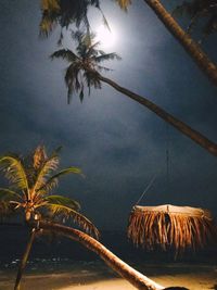 Palm tree by sea against sky