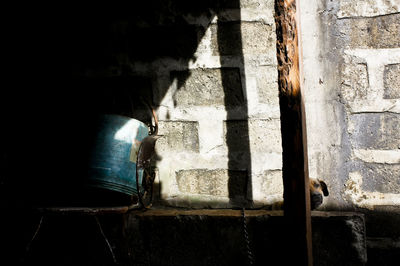 Close-up of abandoned window