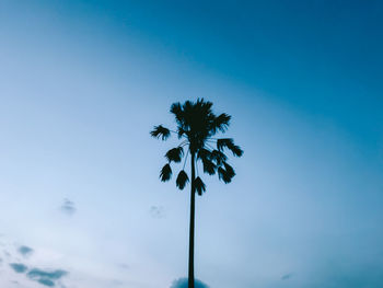 Low angle view of silhouette palm tree against clear blue sky