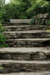 View of stone wall in forest