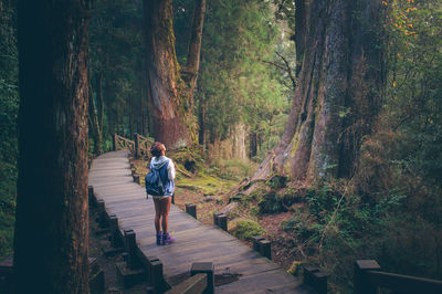 Woman standing on steps in forest