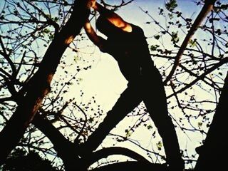 silhouette