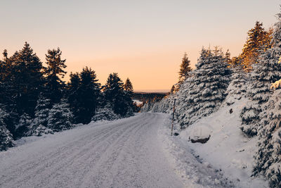 Snow covered road amidst trees against sky during sunset