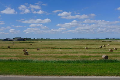 Scenic view of farm field against sky