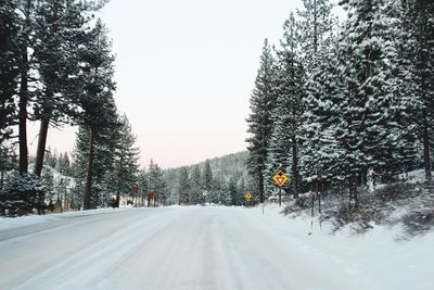 Road passing through forest