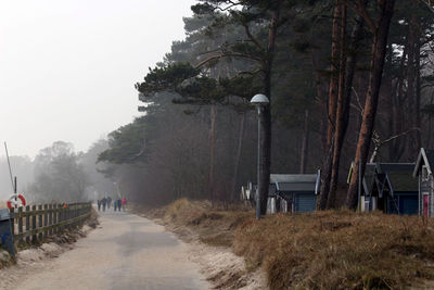 Street amidst trees and plants against sky