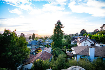 Trees and buildings against sky