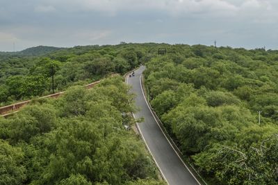 Road amidst trees in forest against sky