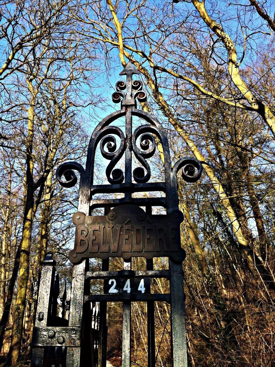 tree, low angle view, built structure, architecture, branch, building exterior, metal, sky, gate, bare tree, day, outdoors, no people, old, clear sky, growth, wood - material, fence, nature, religion