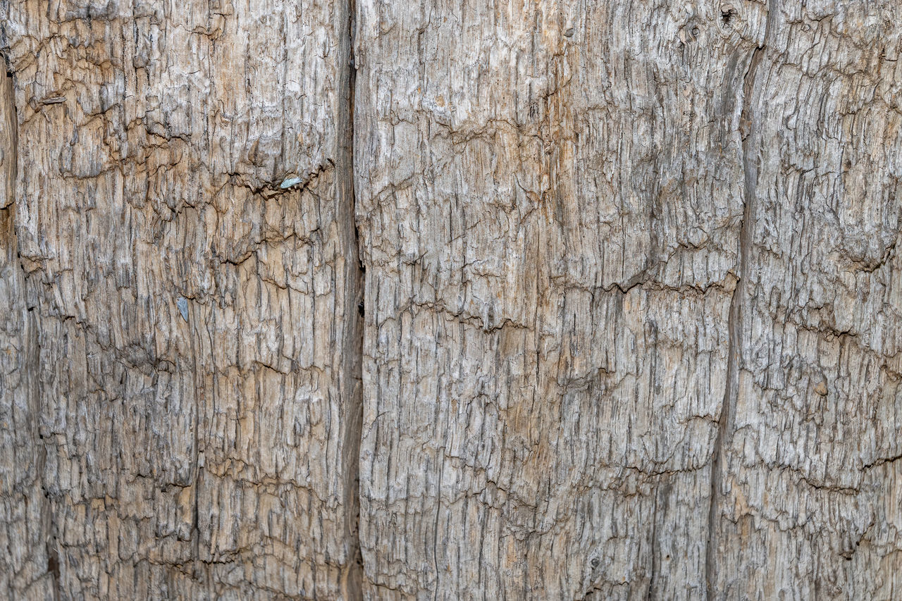 FULL FRAME SHOT OF WOODEN WALL