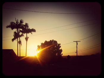 Silhouette of trees at sunset