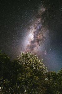 Low angle view of star field against star field