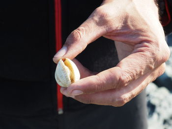 Close-up of hand holding clam