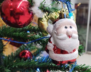 Close-up of christmas tree
