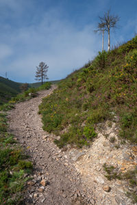 Camino de santiago, asturias, spain