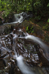 View of waterfall in forest