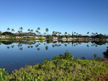 Scenic view of farm against clear blue sky