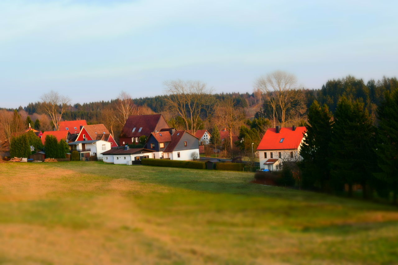 building exterior, architecture, built structure, grass, house, field, tree, landscape, sky, residential structure, grassy, rural scene, clear sky, growth, green color, nature, village, tranquil scene, tranquility, beauty in nature