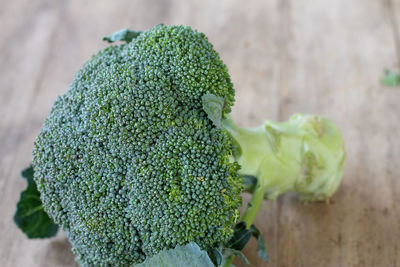 Close-up of green leaf on table