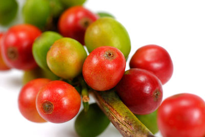 Close-up of apples