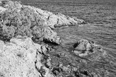 High angle view of rocks on shore