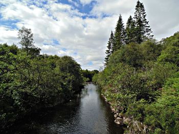 Scenic view of the river amidst trees in the forest against the sky