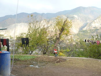 People on street amidst trees against mountains