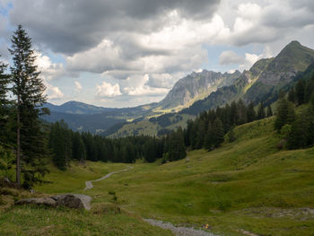 Scenic view of pine trees and mountains against sky