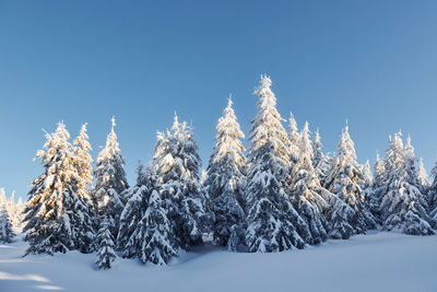 Clear blue sky.