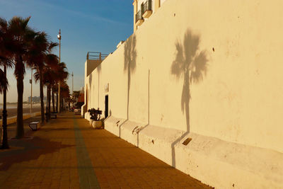 Footpath amidst palm trees and buildings in city