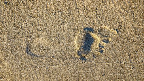 High angle view of footprints on sand
