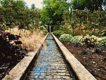 View of railroad tracks in forest