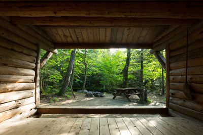 Trees seen through arch