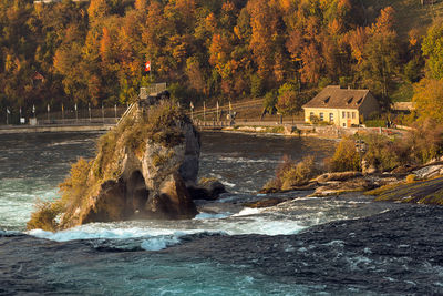 Scenic view of river flowing in forest during autumn