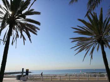Palm trees at beach against clear sky