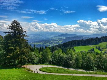 Scenic view of green landscape against sky