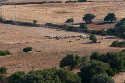 Scenic view of landscape