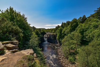 Scenic view of river amidst trees against sky